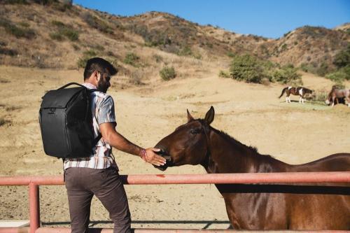 926ae89931d7e965babaf7012ce8c58f