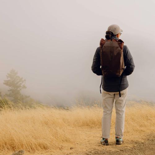 72802b9220076cb1ee79f595d1b773b0