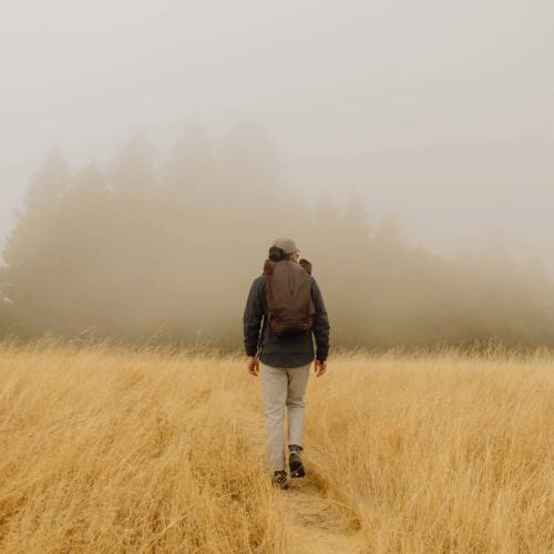 acdb14f86defa0e6bc67993334a0d74e