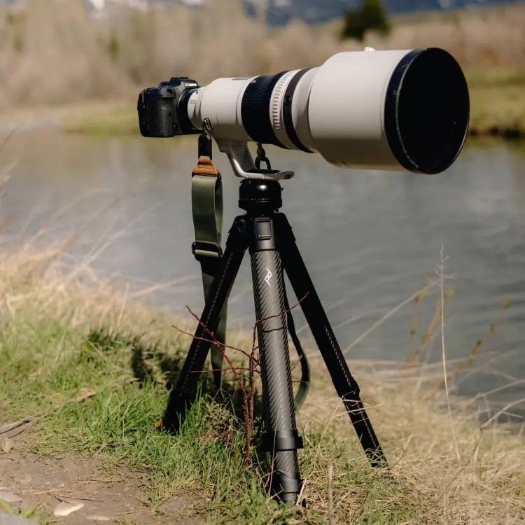 9a2fb896e34f161e8d8cb6a4f80ba057