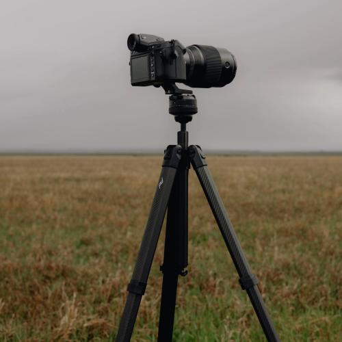 38d137519560dc39a551be35bf659426