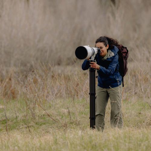 044046548282178a24d51308337f8ae2