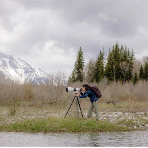 40b85455873feb89ebde998fe189ddd6