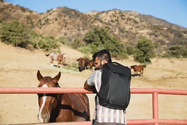 Plecak PEAK DESIGN Everyday Backpack 30L v2 - Czarny - EDLv2 7