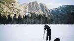 Statyw Peak Design Travel Tripod włókno węglowe 20